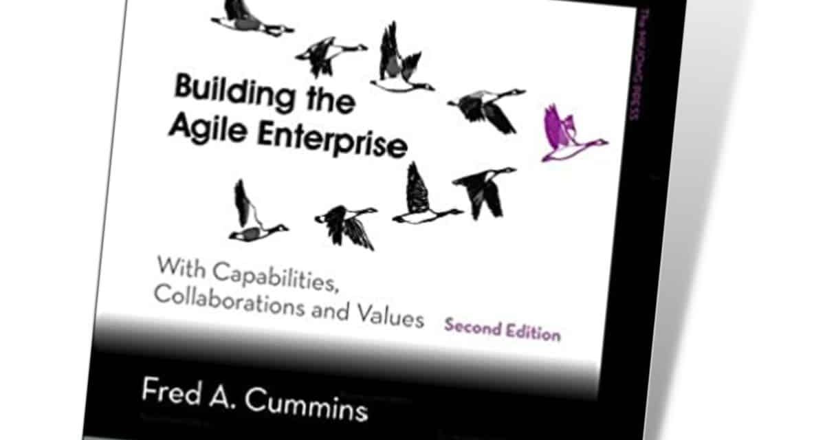 Building the Agile Enterprise 0 (0)